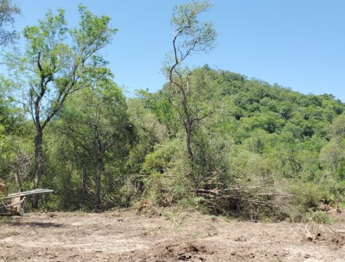 Deforestación en las faldas del cerro 7 Cabezas, en Alto Paraguay