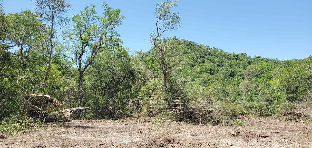 Deforestación en las faldas del cerro 7 Cabezas, en Alto Paraguay